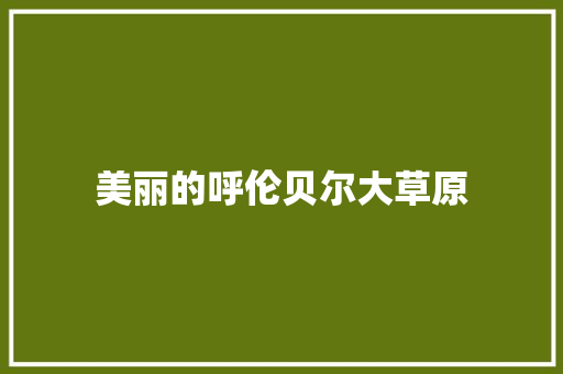美丽的呼伦贝尔大草原