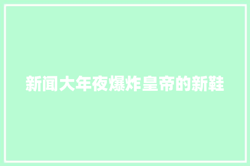 新闻大年夜爆炸皇帝的新鞋 休闲娱乐