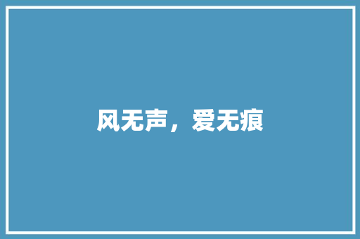 风无声，爱无痕