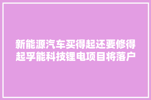 新能源汽车买得起还要修得起孚能科技锂电项目将落户安宁