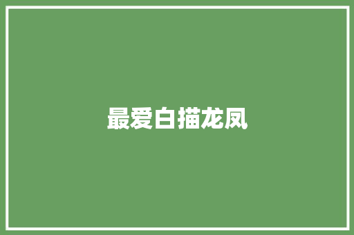 最爱白描龙凤