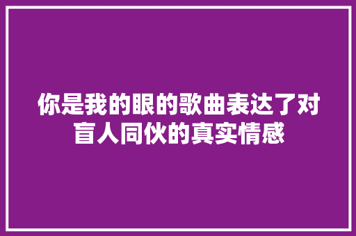 你是我的眼的歌曲表达了对盲人同伙的真实情感