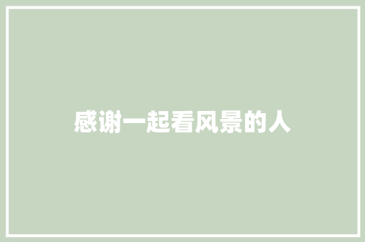感谢一起看风景的人