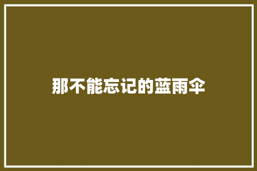那不能忘记的蓝雨伞