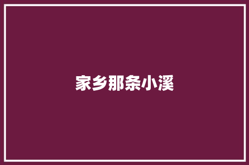 家乡那条小溪