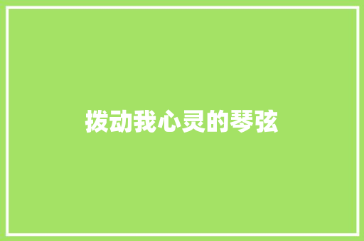 拨动我心灵的琴弦