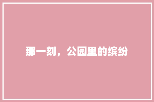 那一刻，公园里的缤纷