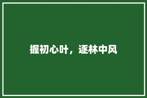 握初心叶，逐林中风