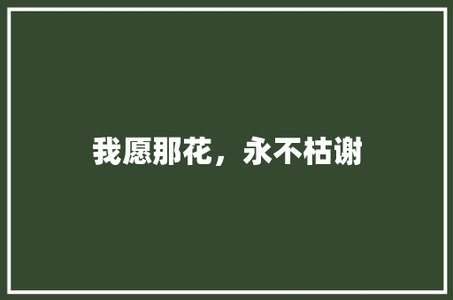 我愿那花，永不枯谢
