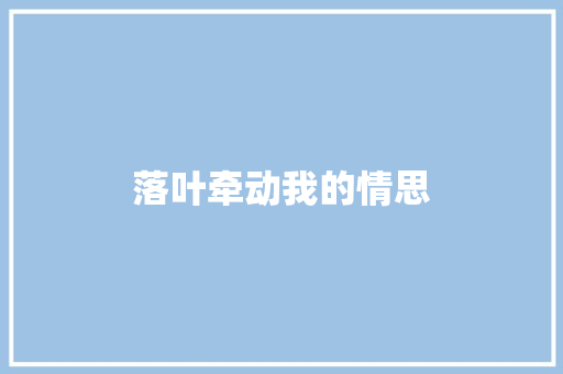 落叶牵动我的情思