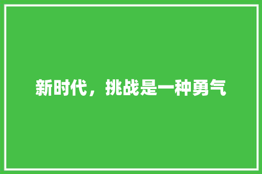 新时代，挑战是一种勇气