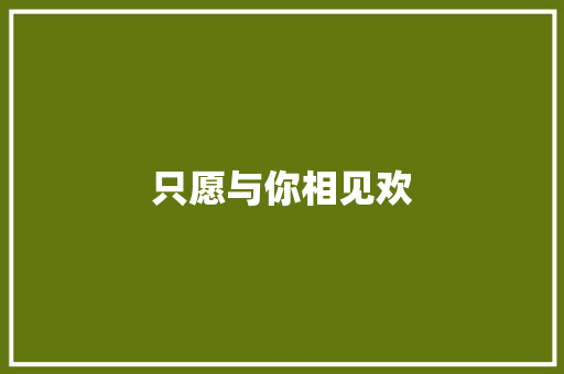 只愿与你相见欢