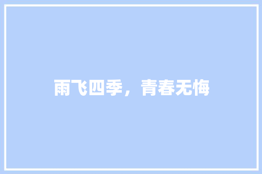 雨飞四季，青春无悔