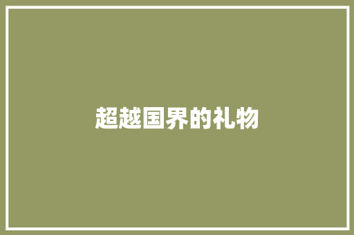 超越国界的礼物
