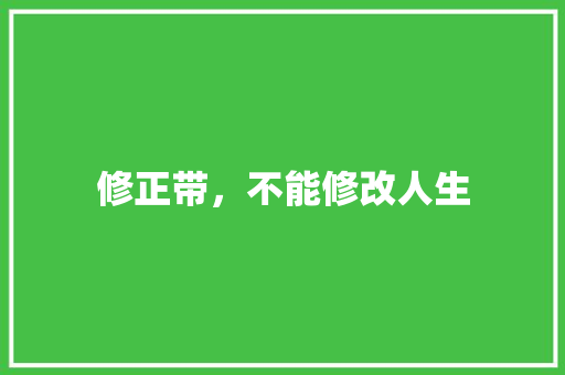 修正带，不能修改人生