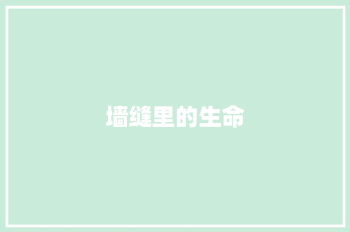 墙缝里的生命