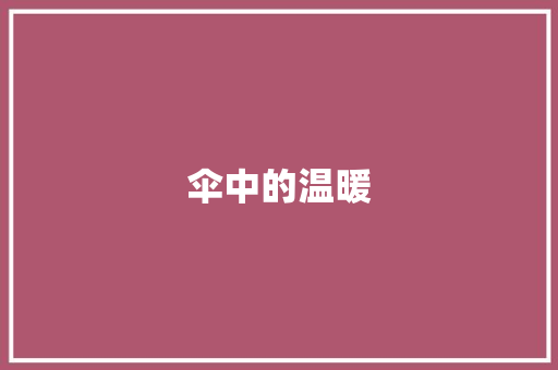 伞中的温暖