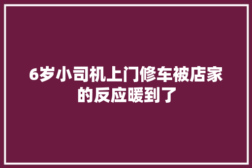 6岁小司机上门修车被店家的反应暖到了