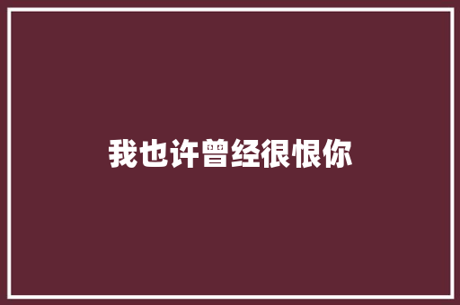 我也许曾经很恨你