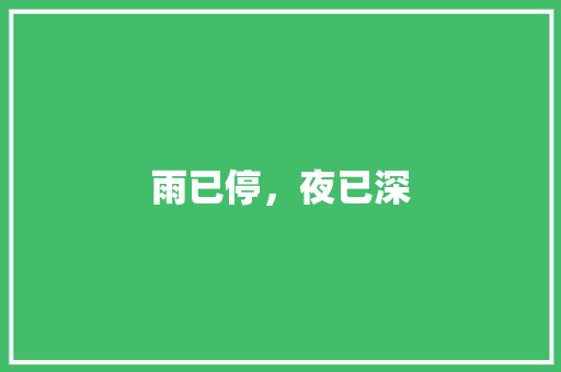 雨已停，夜已深