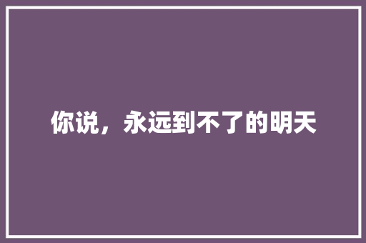 你说，永远到不了的明天