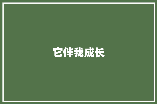 它伴我成长