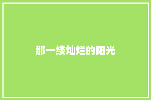 那一缕灿烂的阳光
