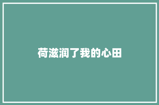 荷滋润了我的心田