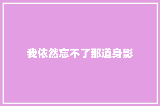 我依然忘不了那道身影