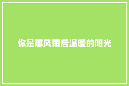 你是那风雨后温暖的阳光
