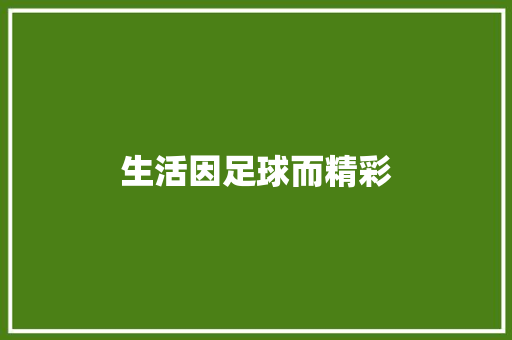 生活因足球而精彩