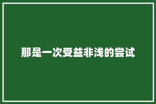 那是一次受益非浅的尝试