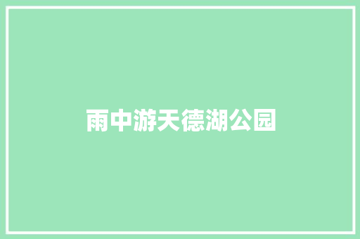 雨中游天德湖公园