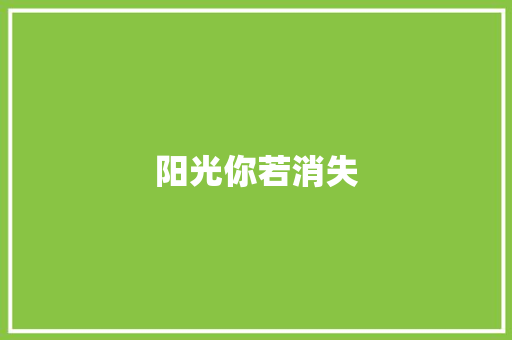 阳光你若消失