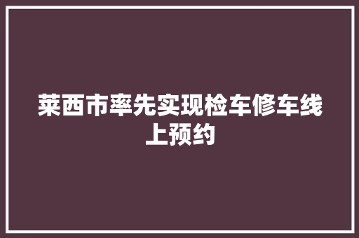 莱西市率先实现检车修车线上预约