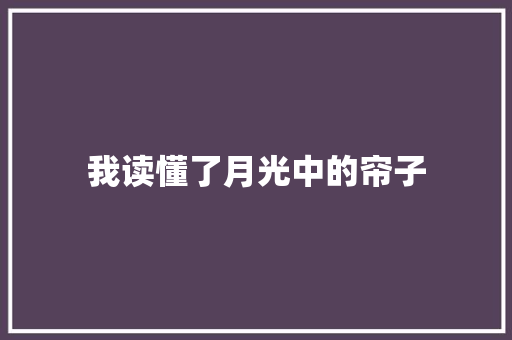 我读懂了月光中的帘子