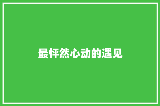 最怦然心动的遇见