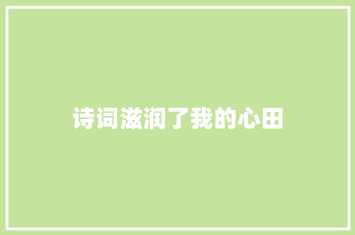 诗词滋润了我的心田