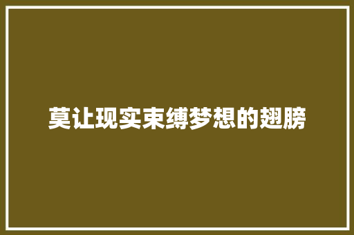 莫让现实束缚梦想的翅膀