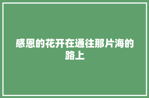 感恩的花开在通往那片海的路上