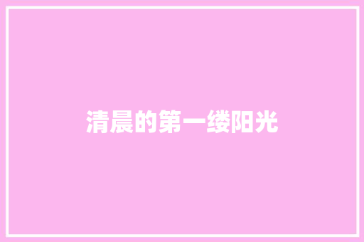 清晨的第一缕阳光