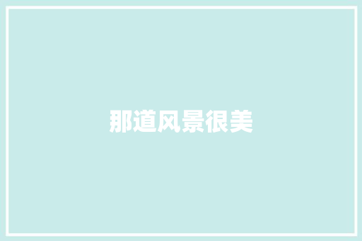 那道风景很美