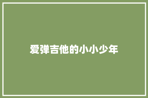 爱弹吉他的小小少年