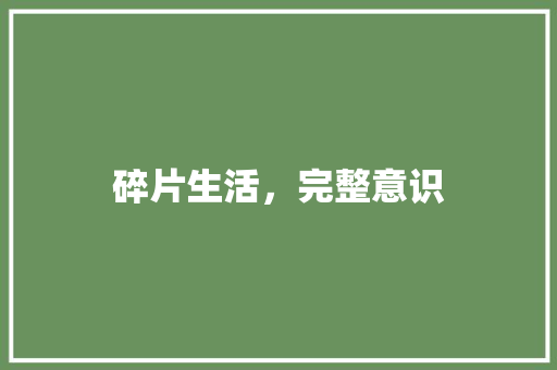 碎片生活，完整意识