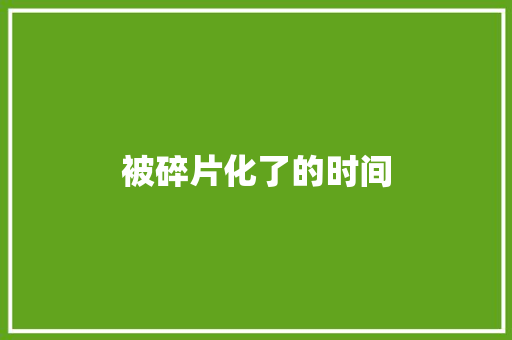 被碎片化了的时间