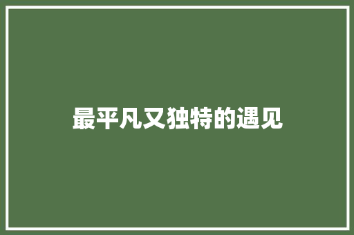 最平凡又独特的遇见