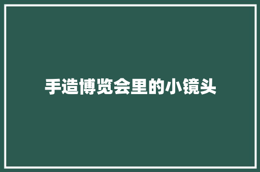 手造博览会里的小镜头