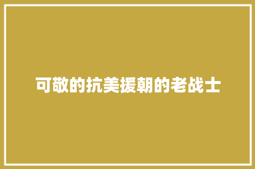 可敬的抗美援朝的老战士