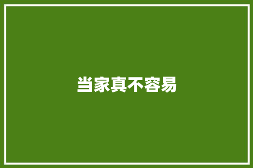 当家真不容易