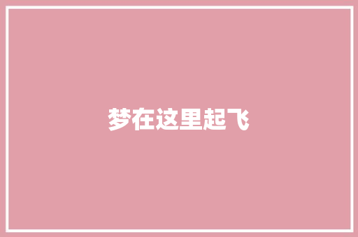 梦在这里起飞